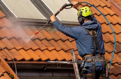 Démoussage et hydrofuge de toiture à Bas-en-Basset